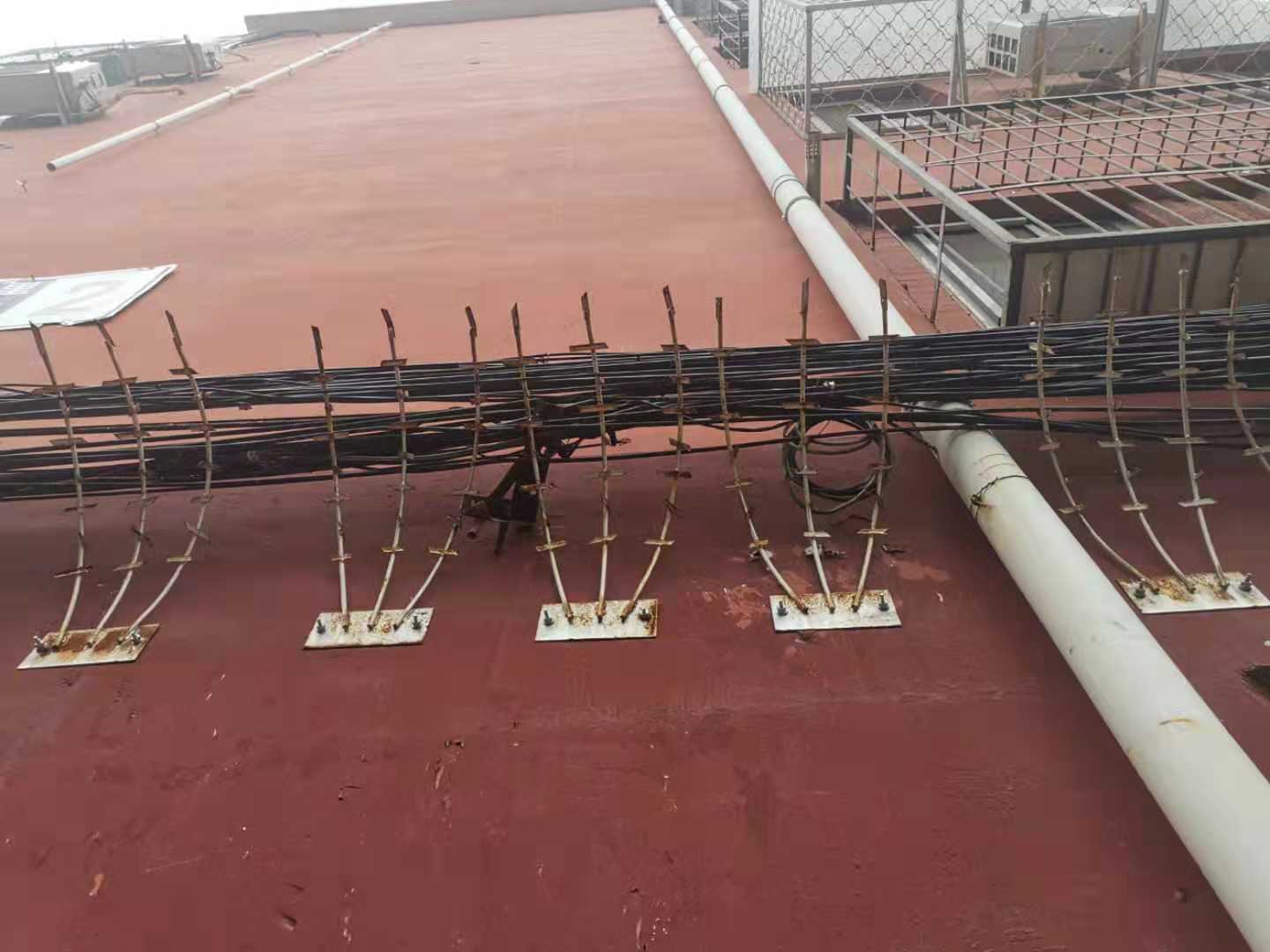 護欄網,市政護欄網,欄網廠家