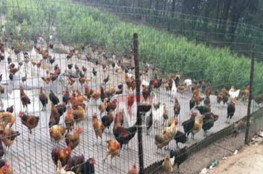 養殖圍欄網規格